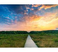 1500 Piezas Puzzle,Rompecabezas de Niños Adolescente - Bosques de Caminos y Campos 87x57cm