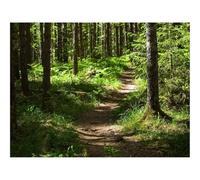 1500 Piezas Puzzles,Juego Educativo, Desafío-bosques,Camino,árboles 87x57cm