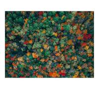 1500 Piezas Puzzles,Juguete Educativo Motricidad y Concentración-bosques,árboles,Vista aérea 87x57cm