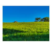 1500 Piezas Puzzles,Regalo y Juego de Habilidad Inteligente-Campo,casa,Naturaleza 87x57cm