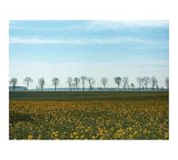 1500 Piezas Puzzles,Regalo y Juego de Habilidad Inteligente-Campo,Hierba,Cielo 87x57cm