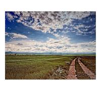 1500 Piezas Puzzles, Rompecabezas de Desafío Duro Imposible-Campo,Camino,Paisaje 87x57cm