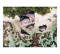 1500 Piezas Puzzles, Rompecabezas de Desafío Duro Imposible-Playa,Rocas,árboles,Agua,Vista aérea 87x57cm