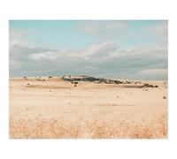 1500 Piezas Puzzles,Rompecabezas para Adultos-Campo,sequía,Hierba 87x57cm