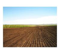 1500 Piezas Puzzles,Rompecabezas para Adultos-Campo,Tierra cultivable,líneas 87x57cm