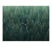 1500 Piezas Puzzles, Rompecabezas para Adultos y Jóvenes-Águila,Vuelo,bosques 87x57cm