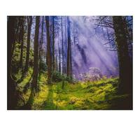 1500 Piezas Puzzles, Rompecabezas para Adultos y Jóvenes-bosques,Rayos,árboles 87x57cm
