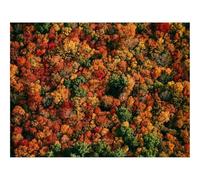 1500 Piezas Puzzles, Rompecabezas para Adultos y Jóvenes-bosques,Vista aérea,árboles 87x57cm