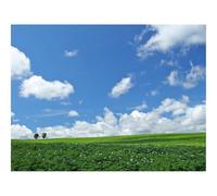 1500 Piezas Puzzles, Rompecabezas para Adultos y Jóvenes-Campo,economía,heno 87x57cm