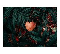 1500 Piezas Puzzles, Rompecabezas para Adultos y Jóvenes-Helecho,Planta,Verde 87x57cm