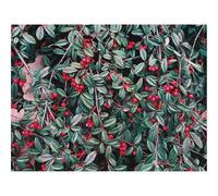 1500 Piezas Puzzles,Rompecabezas para Adultos y niños-Bayas,Hojas,Ramas 87x57cm