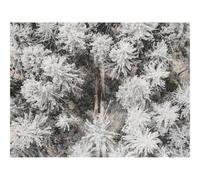 1500 Piezas Puzzles,Rompecabezas para Adultos y niños-bosques,Camino,Vista aérea 87x57cm