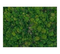 1500 Piezas Puzzles,Rompecabezas para Adultos y niños-bosques,Vista aérea,Verde 87x57cm