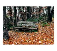 1500 Piezas Rompecabezas para Hombres y Mujeres-Banco,otoño,Parque 87x57cm