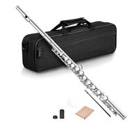 16 agujeros cerrados y abiertos, clave C, profesional, transversal