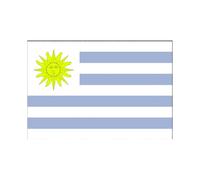 160 * 240 Cm Flag Various Countries In The World Polyester Banner Flag