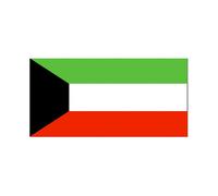 160 * 240 Cm Flag Various Countries In The World Polyester Banner Flag