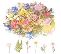 160 Piezas Flores Pegatinas Transparentes Plantas Naturales Pegatinas Artesanales Vintage Pegatinas Coloridas Flores Pegatinas para Manualidades DIY Álbum Fotos Teléfono Cuaderno