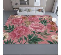 160 x 230 cm Rosa Lavable a máquina Alfombra, para Sala de Estar Dormitorio baño Cocina, alfombras Pelo Corto Estampada de Bosque Campiña Francesa Flores