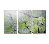 160 x 90 cm Cuadro en Lienzo Flor 1167-SCT - Imagen/Impresion/Pintura Listo para Colgar