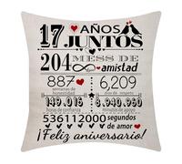 17 Aniversario de Boda Funda de Cojín 18x18 Pulgadas 17 Años de Matrimonio Boda Decoración para Parejas Padres Esposo Esposa Mamá Papá Tío Amigos(17)