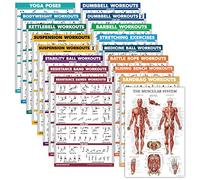 17 Pack - Exercise Poster Set: Dumbbell, Suspension, Kettlebell, Muscular, Medicine Ball, Battle Rope, Resistance Bands, Stretching, Bodyweight, Barbell, Yoga and More (LAMINATED, 18" x 24")