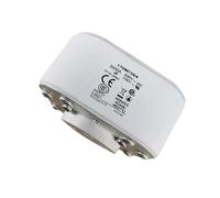 170M7064 170M7063 Componentes electrónicos Fusibles rápidos de bajo voltaje(170M7064)