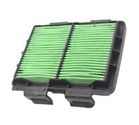 17220-KZZ-900 Limpiador de admisión de filtro de aire para motocicleta, compatible con Honda CRF 250 CRF250 CRF250L M RALLY 2013 2014 2015 2016(Green)