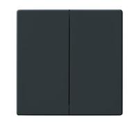 1785-81 Tecla para pulsador, 2 elementos antracit