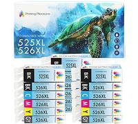 18 Compatibles PGI-525 CLI-526 Cartuchos de Tinta para Canon Pixma MG5150 MG5250 MG6150 MG6250 MG8150 MX885 iP4850 iP4950 iX6550 - Negro/Fotográfico Negro/Cian/Magenta/Amarillo/Gris, Alta Capacidad