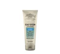 Alfapalf Group Il Salone Milano Scalp System Purify Shampoo Antiforfora 250ml