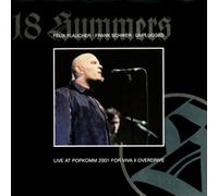 18 Summers - Felix Flaucher & Frank Schwer - Unplugged
