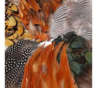 180Pcs 6 Estilos Plumas Artesanales Surtidas, Mwoot Plumas de pollo naturales para DIY Pendiente Alas Dream Catcher Artesanía Actividades Boda Decoración del hogar Fiesta