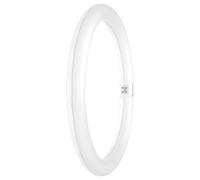 18W LED T9 Circular Tubo, G10q, 3000K, 2000lm, No Regulable - 4099854042508