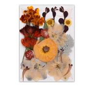 19/20/21/22 piezas de flores prensadas para manualidades, suministros de adornos para marcapáginas hechos a mano, joyería, álbumes de recortes, decoración de flores naturales