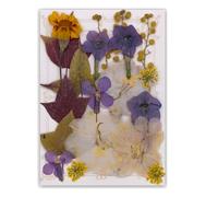 19/20/21/22 piezas de flores prensadas para manualidades, suministros de adornos para marcapáginas hechos a mano, joyería, álbumes de recortes, decoración de flores naturales