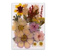 19/20/21/22 piezas de flores prensadas para manualidades, suministros de adornos para marcapáginas hechos a mano, joyería, álbumes de recortes, decoración de flores naturales