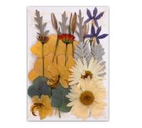 19/20/21/22 piezas de flores prensadas para manualidades, suministros de adornos para marcapáginas hechos a mano, joyería, álbumes de recortes, decoración de flores naturales