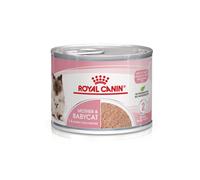 Royal Canin Mother and Babycat comida húmeda para gatitos y gatas lactantes - Pack 12 Latas 195 gr