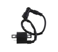 1983-1987 Suzuki Quadrunner 50 LT50 2x4 Ignition Coil Pack - 1 Unit