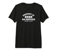 1984 Ministerio de la Verdad Distópica 2+2=5 Propiedad del Gran Hermano Camiseta Premium