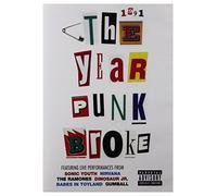 1991 - The Year Punk Broke [DVD]