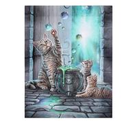 19x25cm Hubble Bubble Canvas By Lisa Parker (12/48)