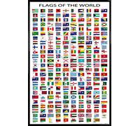 1art1 Banderas del Mundo Cartel con Marco (Plástico) - Country Names and Capitals, In English (91 x 61cm)