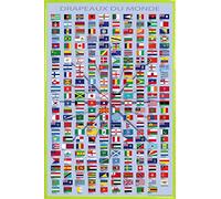1art1 Banderas del Mundo Cartel con Marco (Plástico) - Country Names and Capitals, In French (91 x 61cm)