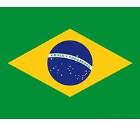1art1 Brasil Póster Banderas del Mundo Póster Impresión Artística 50x40 cm