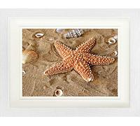1art1 Estrellas De Mar Póster Estrella De Mar con Conchas Marinas En La Arena Cuadro Enmarcado con Fine Passepartout | Cuadros De Pared | En Un Marco De Imagen 40x30 cm