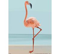 1art1 Flamencos Póster Ein Schöner Flamingo Póster Impresión Artística 50x40 cm