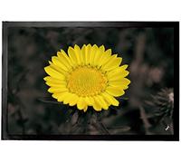 1art1 Flores Flores con Encanto, Crisantemo Dorado Felpudo Alfombra 60x40 cm