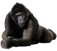 1art1 Gorilas Majestic Mountain Gorilla Pegatina para Pared 120x100 cm